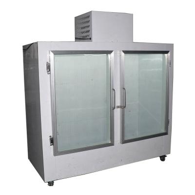 China Single-Temperature Gas Station Bagged Ice Storage Freezer With 2 Glass Door Or Solid Doors for sale