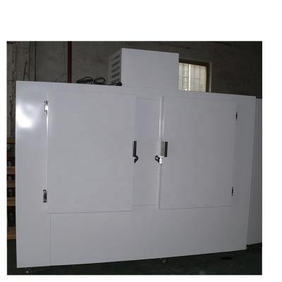 China High Temperature Bagged Ice Storage Bin Ice Merchandiser With Drop-Down Evaporator for sale