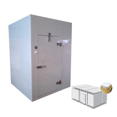 China Hotels Standard Fruit And Vegetable Cold Room 15m3 With Capacity 3 Tons for sale