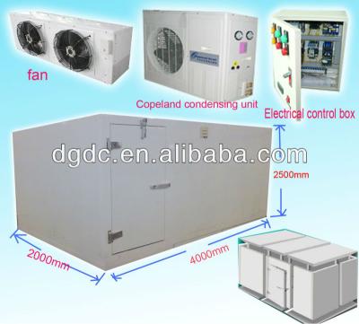 China Prefab Cold Room Prefab Cold Room / Freezer Room (OEM Design) for sale