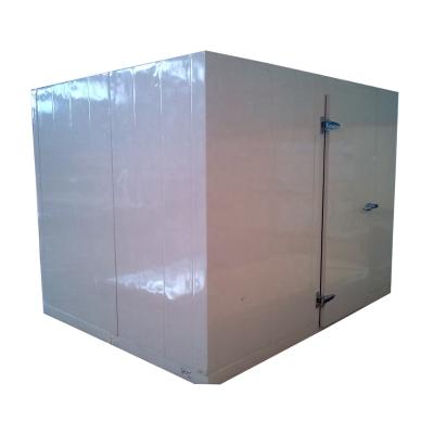 China Container cold rooms and freezers with polyurethane insulation-capacity 2 tons for sale