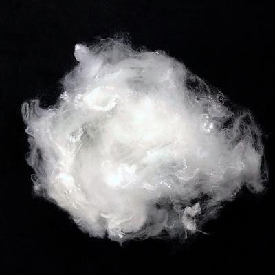 Chine fibre discontinue de polyesters de 3D×64mm Bosilun, anti fibre de composé de PAB de charge statique à vendre