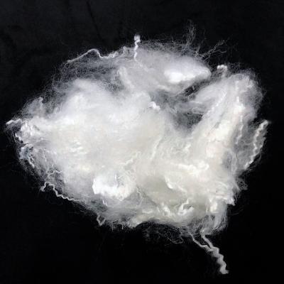 China Hollow Conjugated Siliconized Polyester Fiber 3D 7D 15D 32Mm 51Mm 64Mm Virgin Polyester Staple Fiber Price Inquiry Disco en venta