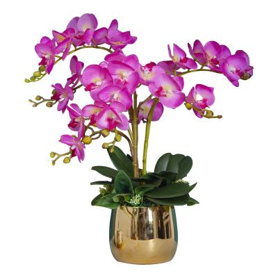 China Liflike EN099 Wedding Silk Flower Orchid Flower With Pot Artificial Orchid for sale