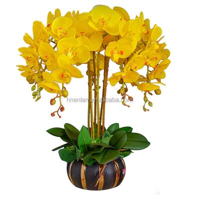 China decorative flowers & Direct Touch Customizable Real Flower Home Real Flower Moth Orchid Moth Orchid Garlands Plant Decoration Artificial Orchid for sale