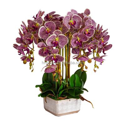 China decorative flowers & Braids EN058 Real Touch Artificial Orchid With Potted Plant For Hotel Garden Home Decoration for sale