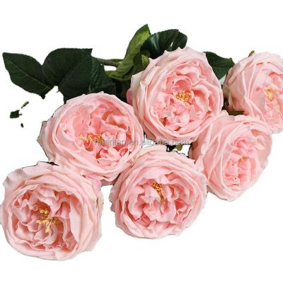 China decorative flowers & Garlands Wholesale Artificial David Austin Rose Flower Real Touch Cabbage Latex Wedding Decorative Flower Arrangements for sale