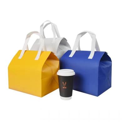 China Reusable Eco-Friendly Recyclable Food Hamburger Pasta Takeout Bag Reusable Cold Storage 3 Hours EPE Foam Nonwoven Bag for sale