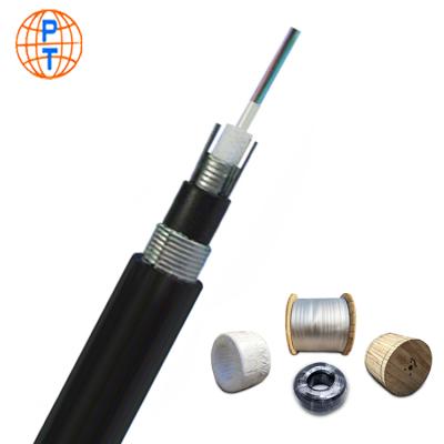 China Aeria Outdoor Factory Customized Outdoor Fiber Cable 4 12 24 Core SM G652D Steel Wire Core Strength Member Armored Fiber Optic Cable GYXTW53 for sale