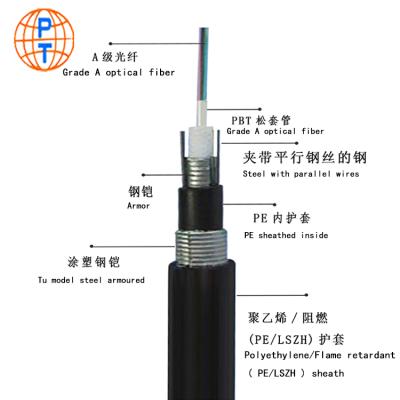 China Outdoor Aeria GYXTW53 2 4 /6/8/ 12/24 Cores SM Center Loose Armored Fiber Optic Cable for sale