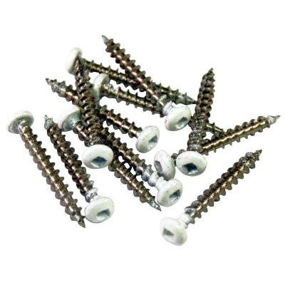 China SS304 Pan Deck Screws Pan Head Square Drive White Color Paint Mirror Polished for sale