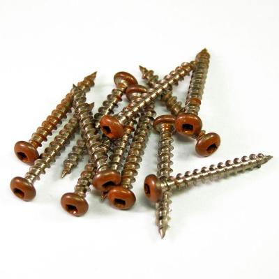 China SS304 Pan Deck Screws Pan Head Square Drive Brown Color Paint Mirror Polished for sale