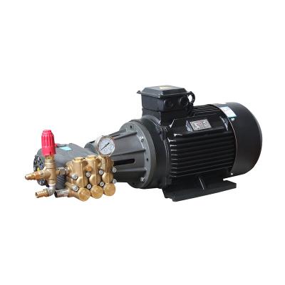 China Family Homes Botuo EDS Series 70 LPM 100 Helm Electric Motor With Triple Pump for sale