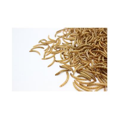 China Fish Bird Cat Chicken Dog Manufactory Factory Best Price Of Hot Selling Super High Quality Mealworm Dry for sale