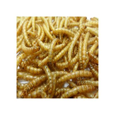 China Fish Bird Cat Chicken Dog Wholesale Factory Direct Sales Hot Selling Organic Natural Freeze Dried Mealworms for sale