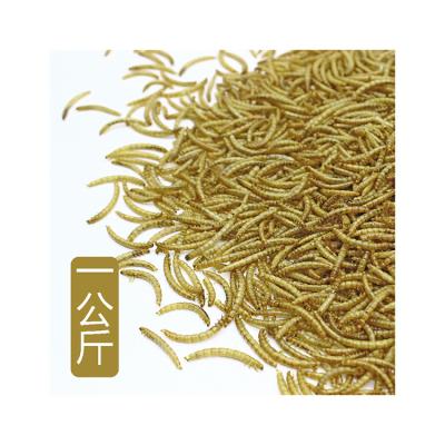 China Bird Cat Chicken Dog Factory Fish Production and Sales Superworm Mealworm High Quality Dead Sieve for sale