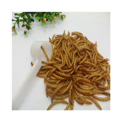 China Hot Sale Small Animals Feed Mealworm Sieve Mealworm from China Professional Supplier Factory for sale