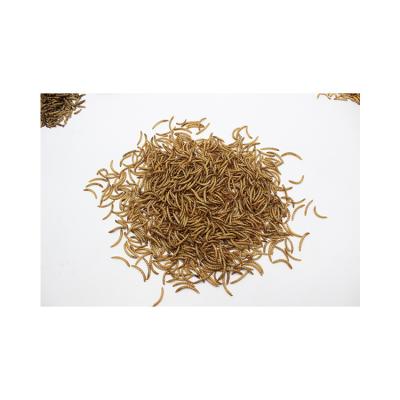 China Fish Bird Cat Chicken Dog Wholesale Factory Direct Sales High Quality Dried Mealworms Feathered Snacks Dried Microwave Yellow Mealworms for sale