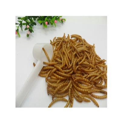 China Cat Chicken Dog Oem Bird Fish Cat Freeze Dried Mealworm Pet Yellow Mealworms For Dog Premium Products for sale