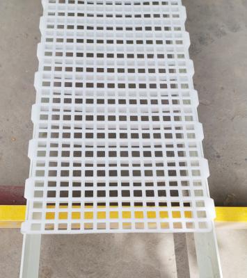 China 1200x500x50mm Poultry Chicken Farm House Plastic Slatted Flooring Industrial Design for sale