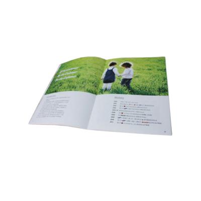 China Hot Stamping Wholesale Custom Brochure Printing Booklet Service for sale