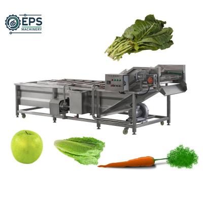 China Large-Scale 304 Stainless Steel Fruit and Vegetable Cleaning Equipment for Industrial for sale