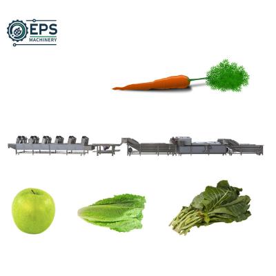 China 304 Stainless Steel Combined Fruit and Vegetable Washing and Drying Line for Products for sale