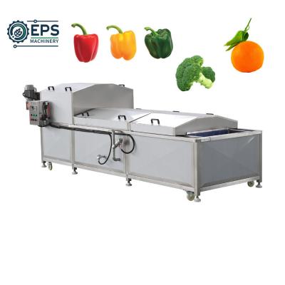 China Spinach Vegetable Cleaner Ozone Bubbles Fruit Washer Machine for Fruit and Vegetables for sale