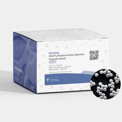 China CE Certified DNA Clean Beads for Genetic Testing with Extracted DNA for Sanger for sale