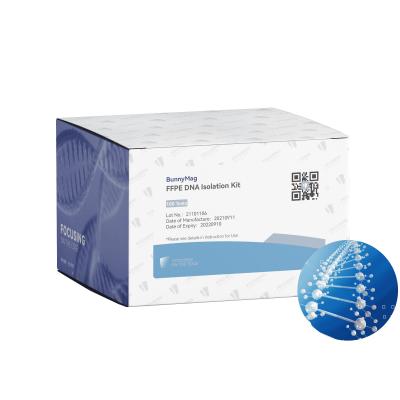 China FFPE DNA Isolation Kit (PCR, NGS Library Preparation) for Purification of DNA from FFPE Tissue 25 tests/100 tests for sale