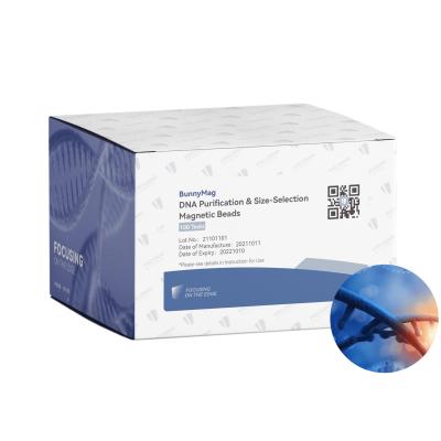 China IVDR Certified DNA Clean Beads with Extracted DNA for Sequencing and Cloning for sale