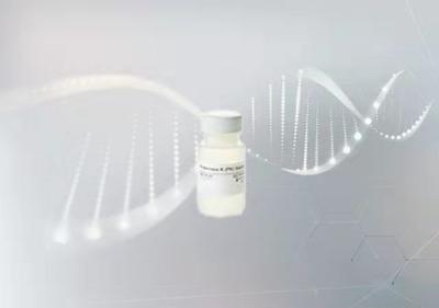 China Proteinase K In DNA/RNA Extraction for sale