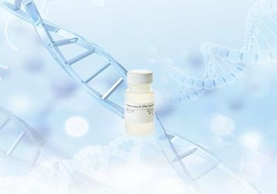 China BunnyTeeth PCR Proteinase K Solution for RNA / DNA Extraction for sale