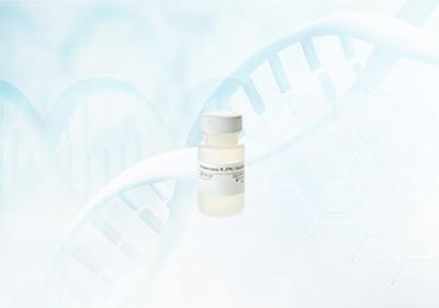 China Proteinase K Fermentas for Preparation for sale