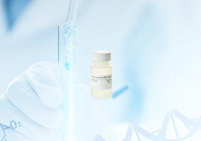 China Proteinase K Dilution for Library Preparation and PCR (Liquid) for sale