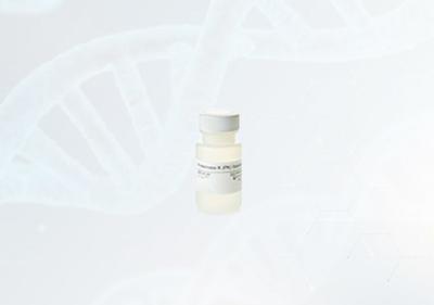 China High Enzymatic Activity Proteinase K Solution for RNA/DNA Extraction Kits for sale