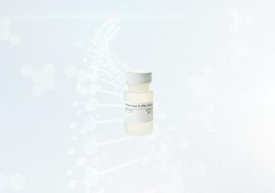 China RNA/DNA Extraction Proteinase K EDTA Buffer for PCR (100mg) for sale