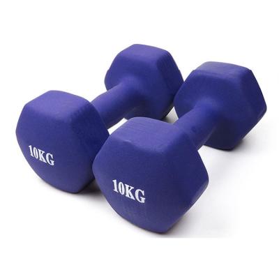 China High Quality Home Use Aerobics Exercise Use Dipping Hex Dumbbells for sale