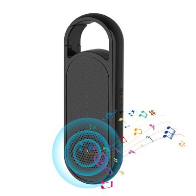 China OEM Logo Factory 2 in-1 Bluetooth Speaker Video Custom Portable Speaker Two Radio True Bluetooth Wireless Headset Earbuds Combo Tws for sale