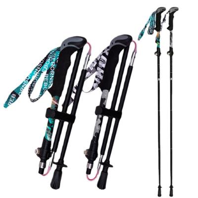 China 2021 Outdoor Camping Hiking Travel Innovative Products T Handle Trekking Pole Stick Canes for sale