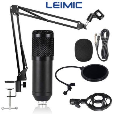 China Wholesale Kareoke Alctron Microphone Desktop Case for sale