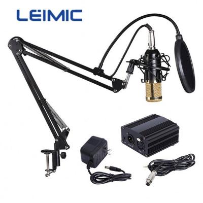 China Desktop Newcomer Handheld Wireless Microphone Wired Condenser Microphone for sale