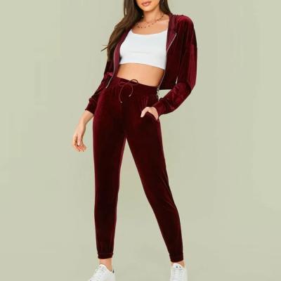 China Women's Simple Two-Piece Sets Velvet Sweatsuit Bottoming Sets Moq Logo Anti-UV Women's Custom Sweatsuit for sale