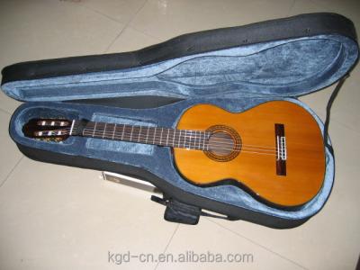 China Acoustic Gitar/Bass Flight Foam Light Guitar Case for sale