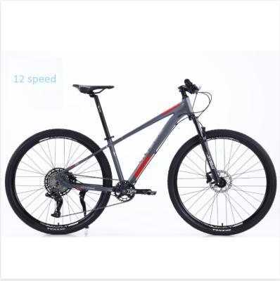 China Hot Sale 29 Inch 12 Speed ​​Mountain Bikes Single Sealant Aluminum Frame Hydraulic Disc Brake Suspension Mountain Bike for sale