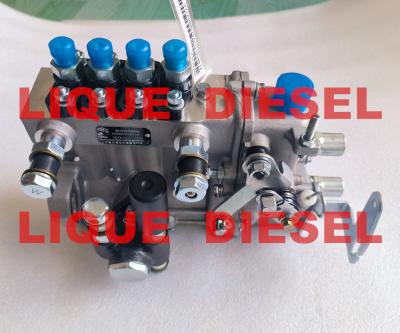 Chine Pompe diesel de kangda de la pompe BH4QT95R9 à vendre