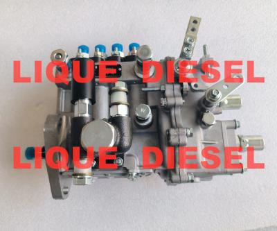 Chine Pompes à carburant BH4Q90L8 à vendre