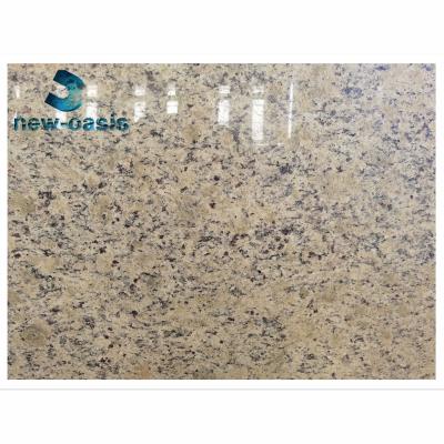 China Santa Cecilia granite slab en venta