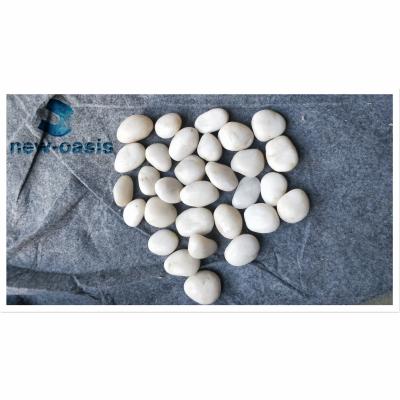 China Natural white color River pebble stone for sale