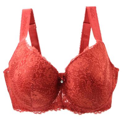 China DaiNaFang new lace QUICK DRY sexy slim mold bow E&F cup bras for women push up Underwire underwear female plus size lingerie for sale